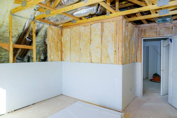 Best Energy-efficient Insulation  in Roscoe, IL