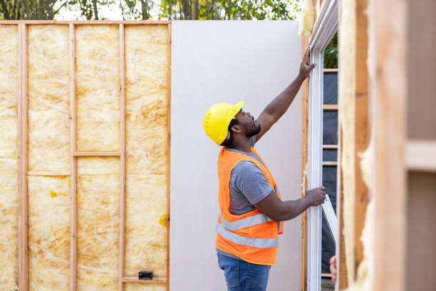 Best Spray Foam Insulation  in Roscoe, IL